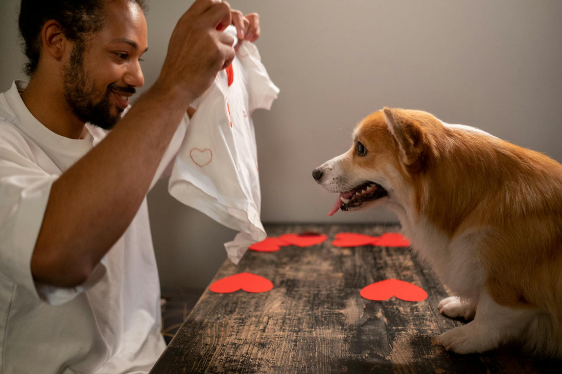 Celebrate Love in Style: Valentine’s Day Dog Outfits for Your Furry Friend