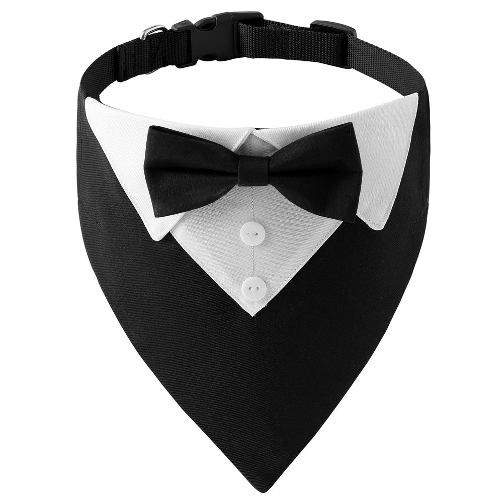 Black and white tuxedo dog bowtie collar.