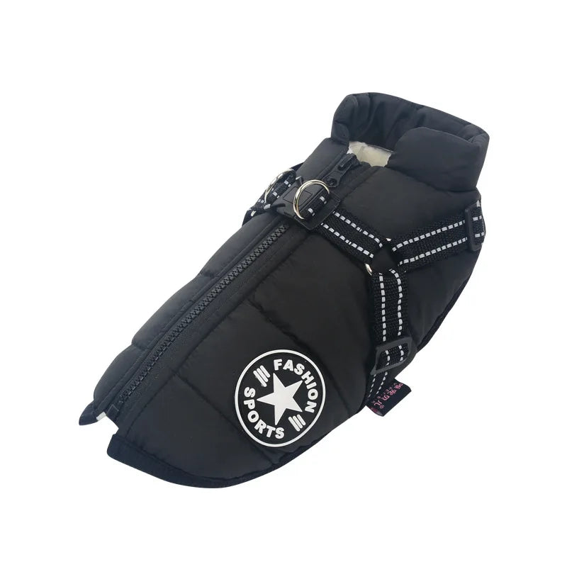 Black waterproof dog jacket with harness.