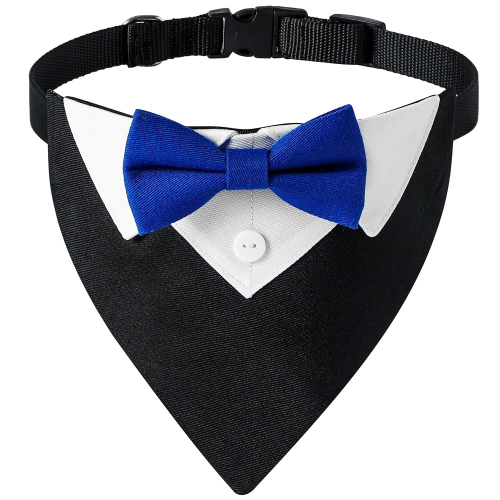 Black and blue tuxedo dog bowtie collar.