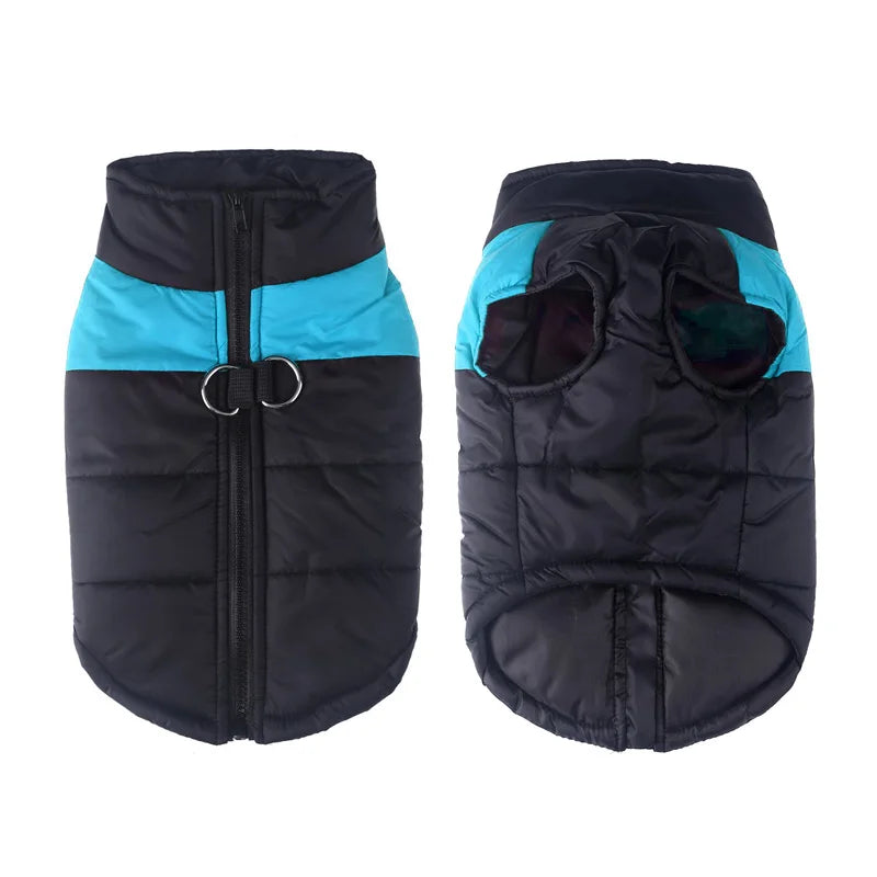 Black and blue / teal waterproof dog vest with zipper and leash hooks.