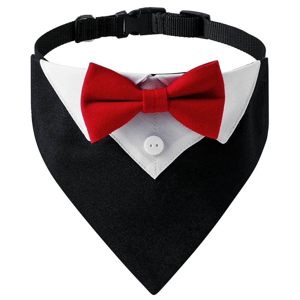 Black and red tuxedo dog bowtie collar.