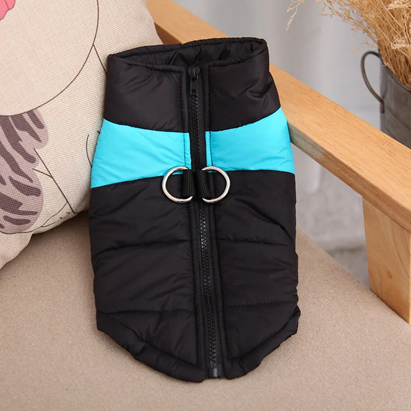 Black and teal waterproof dog vest on a outdoor chair.