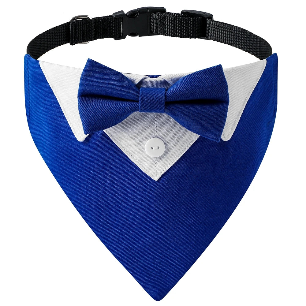 Blue tuxedo dog bowtie collar.