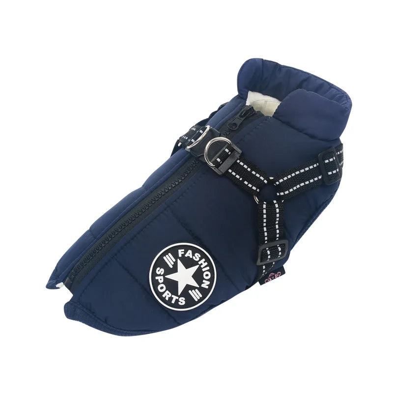 Blue waterproof dog jacket with harness.