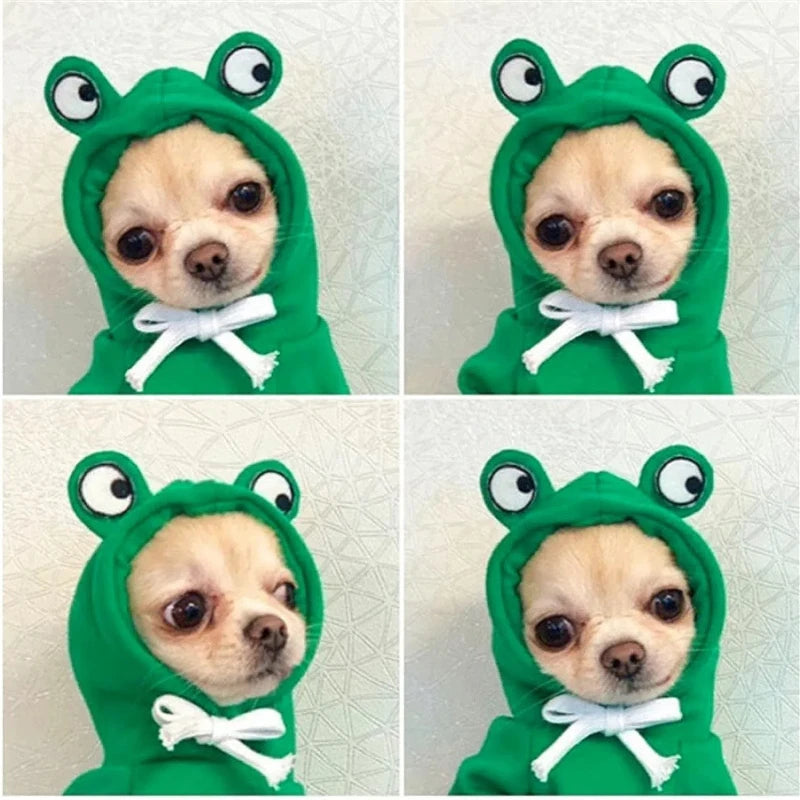 Four photos of a chihuahua in a frog costume facing the camera.