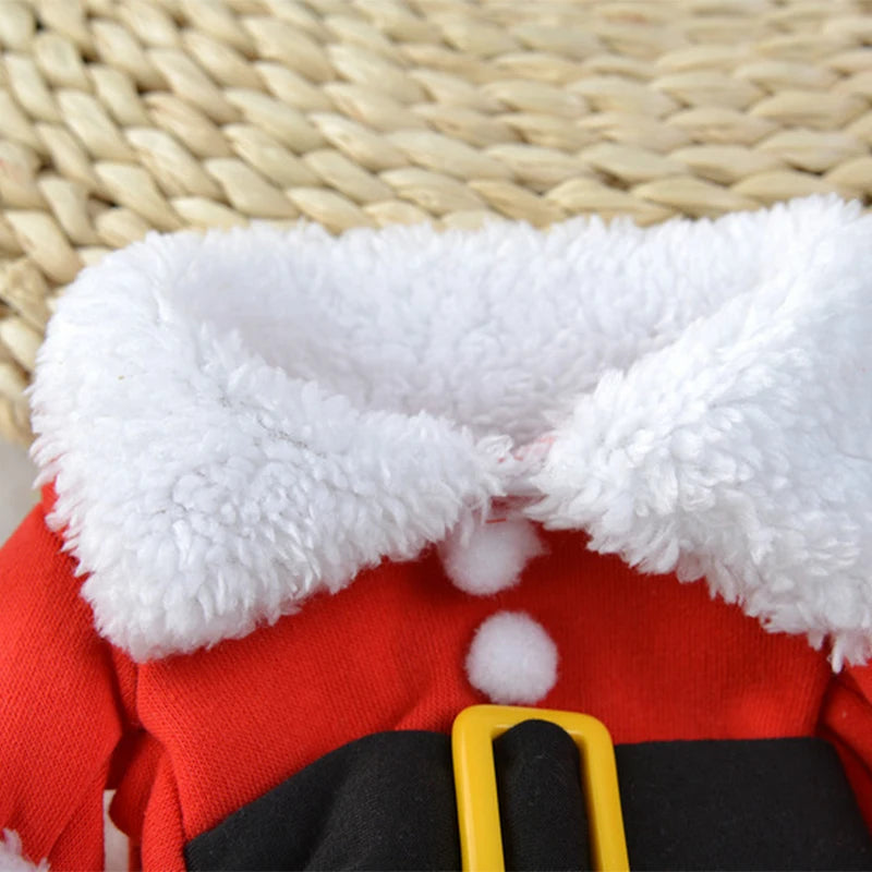 Closeup photo shot of Santa Claus Christmas Jumper's fluffy collar.