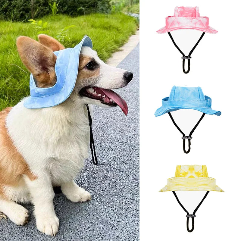 Image of a Corgi dog wearing a blue sun hat while sitting on a paved path surrounded by greenery. The right side of the image displays three variations of the sun hat: pink, blue, and yellow, each featuring a chin strap for secure fitting.