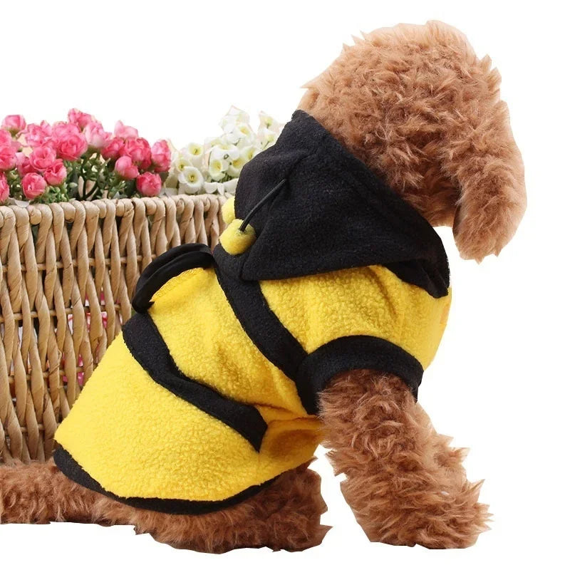 A small dog wearing a bright yellow and black striped bee costume with flowers in the background.