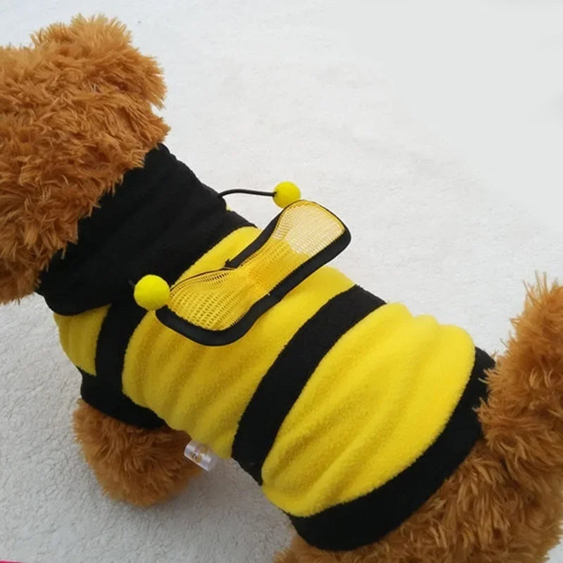 A small, brown dog wearing a bright yellow and black striped bee costume from a backside perspective.