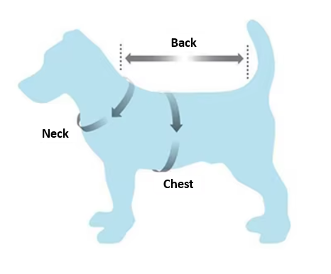 Illustration showing how to measure a dog for clothes.