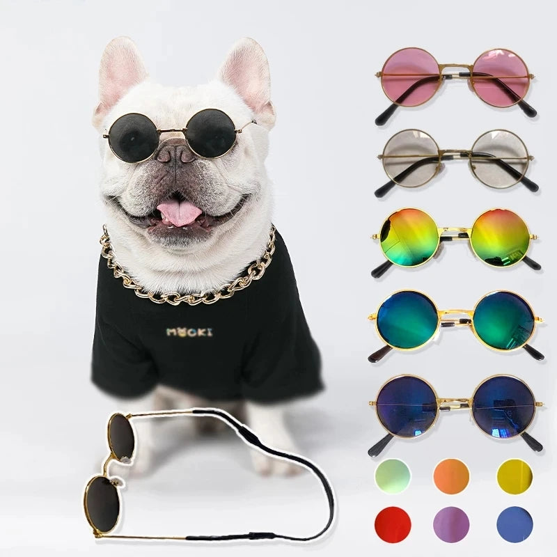 French bulldog wearing circular sunglasses with a necklace and black shirt. Additional sunglass types such as pink, clear, rainbow, and more shown on the right.