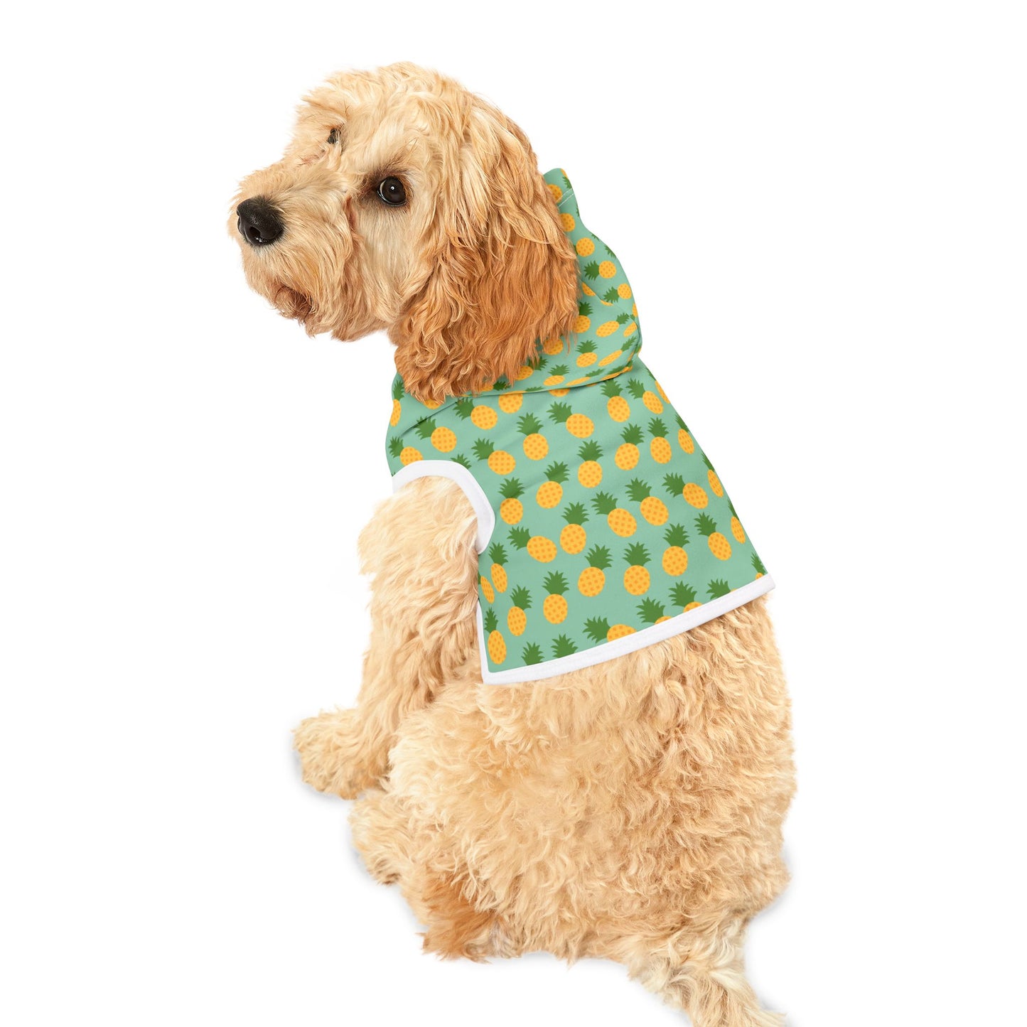 Goldendoodle facing backwards and wearing a pineapple dog hoodie.