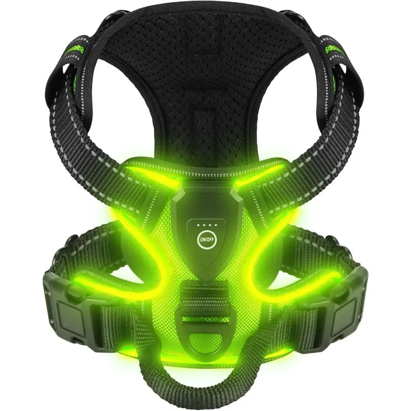 Green LED light dog harness.