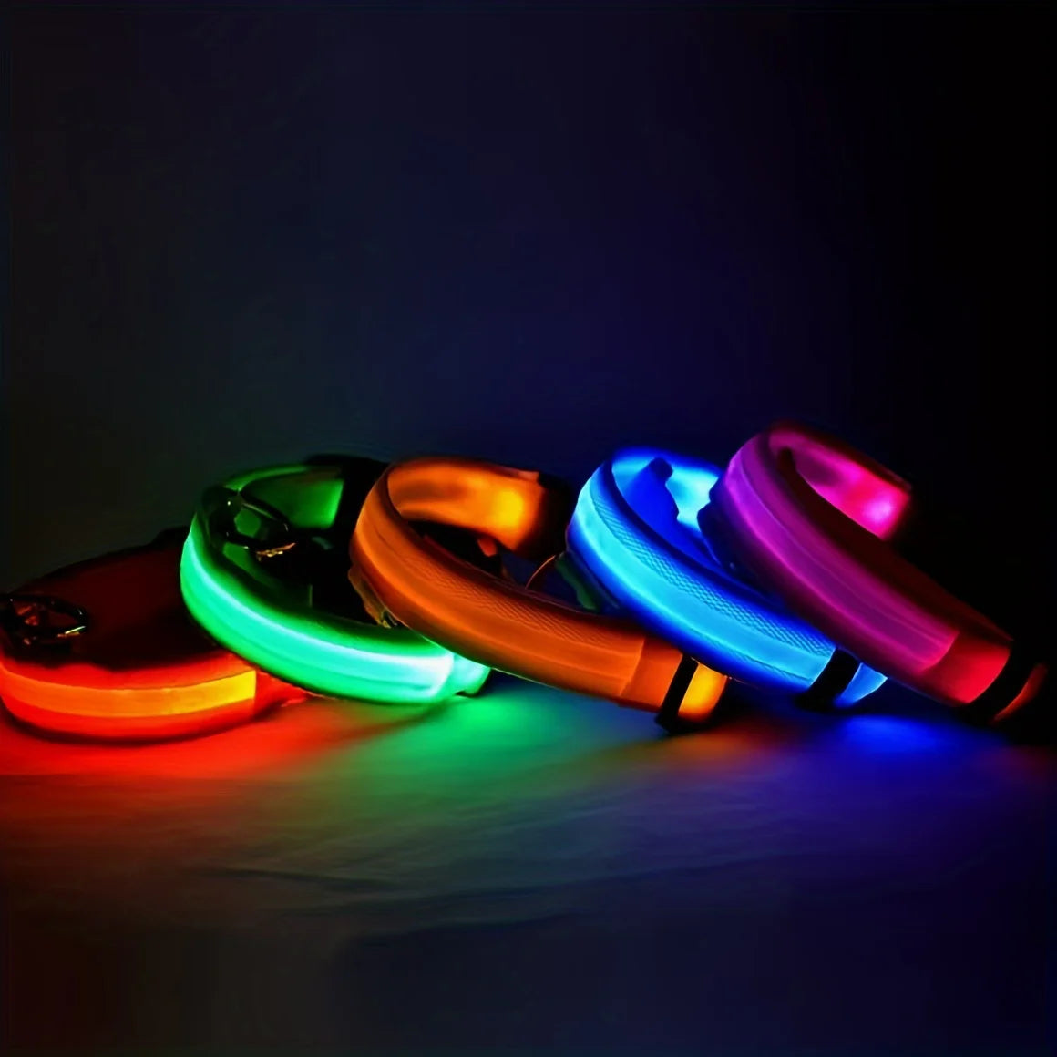 Various LED light dog collars lined up in a row. Colors include red, green, orange, blue and purple.