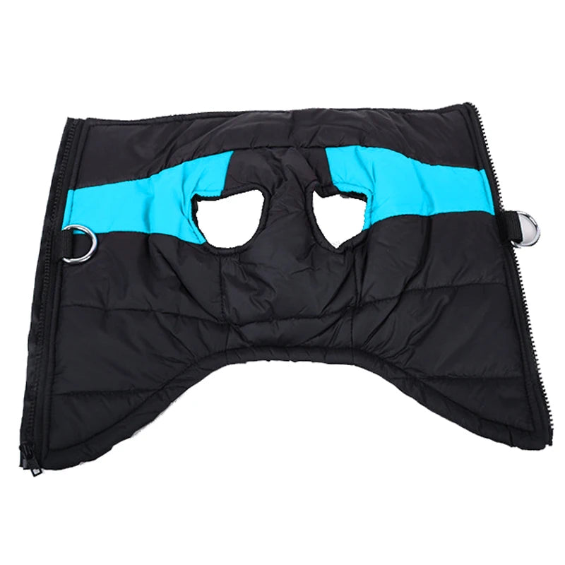 Opened waterproof black and teal dog vest showing zipper and leash hook.