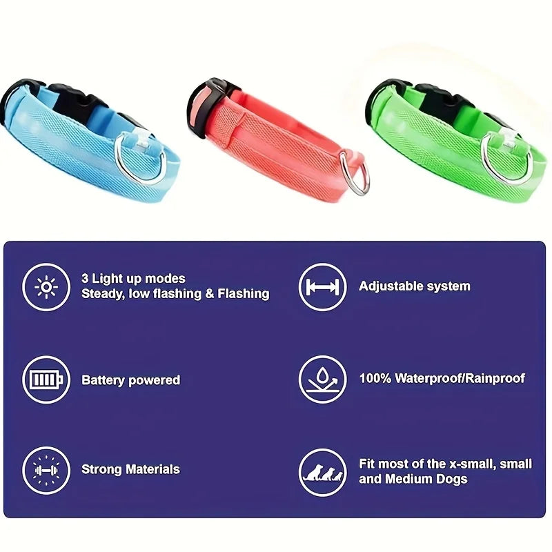 High-level overview of LED light dog collar characteristic such as adjustable length, battery, light modes, and waterproof.