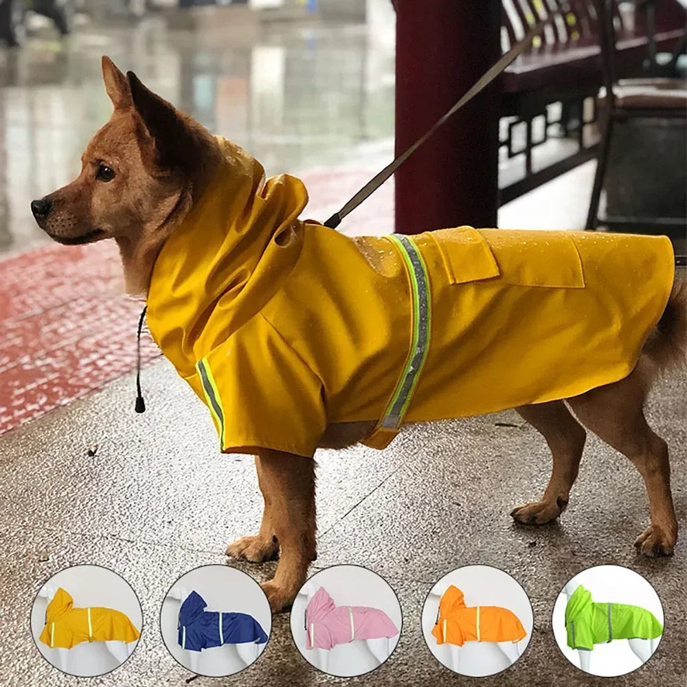 Small brown dog in a yellow waterproof rain jacket with a hoodie. Additional colors at the bottom such as blue, pink, orange, and green.