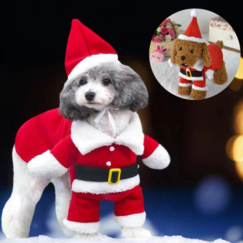 Small white and gray dog wearing a Santa Claus jumsuit costume in the snow. Upper right corner shoes a brown dog with the same outfit.