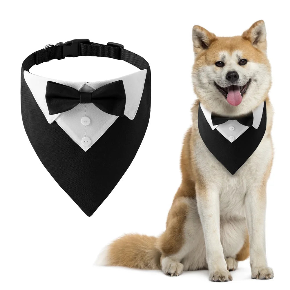 Smiling shiba inu dog wearing a black and white tuxedo bowtie. 