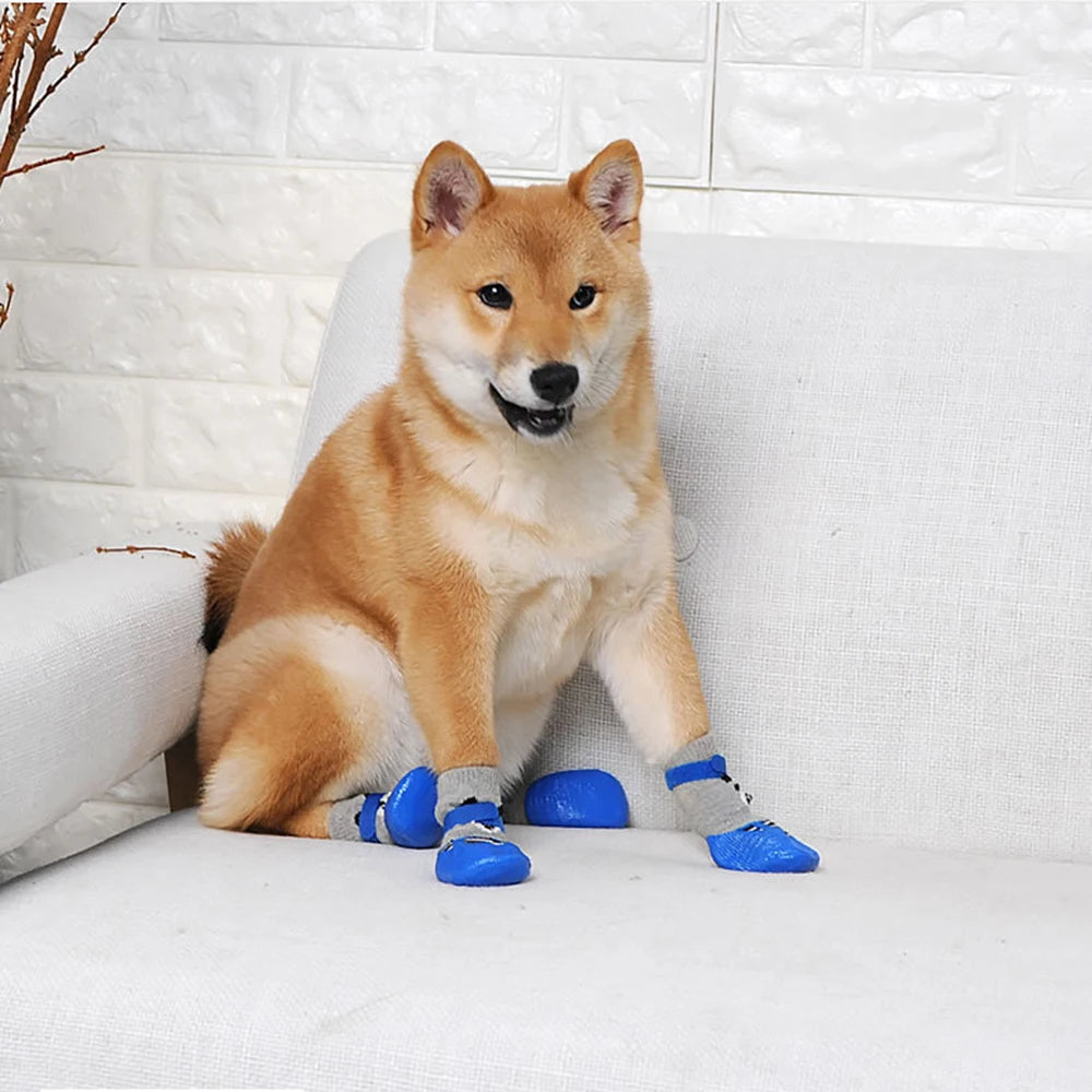 Shiba Inu sitting on a couch wearing blue waterproof panda socks for dogs.