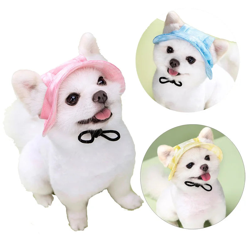 Image of a small white dog wearing a pink sun hat with a black ribbon tie, looking happy with its tongue out. On the right, circular insets show the same dog wearing the same hat style in blue and yellow, each with a cheerful expression and matching background colors.