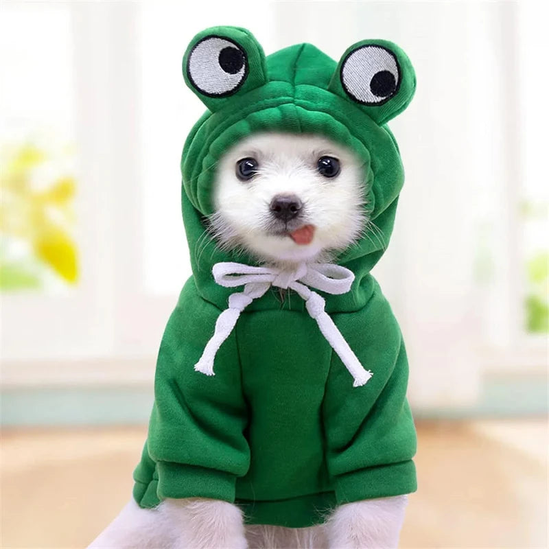 Small white dog with tongue sticking out in a green frog costume with white laces.