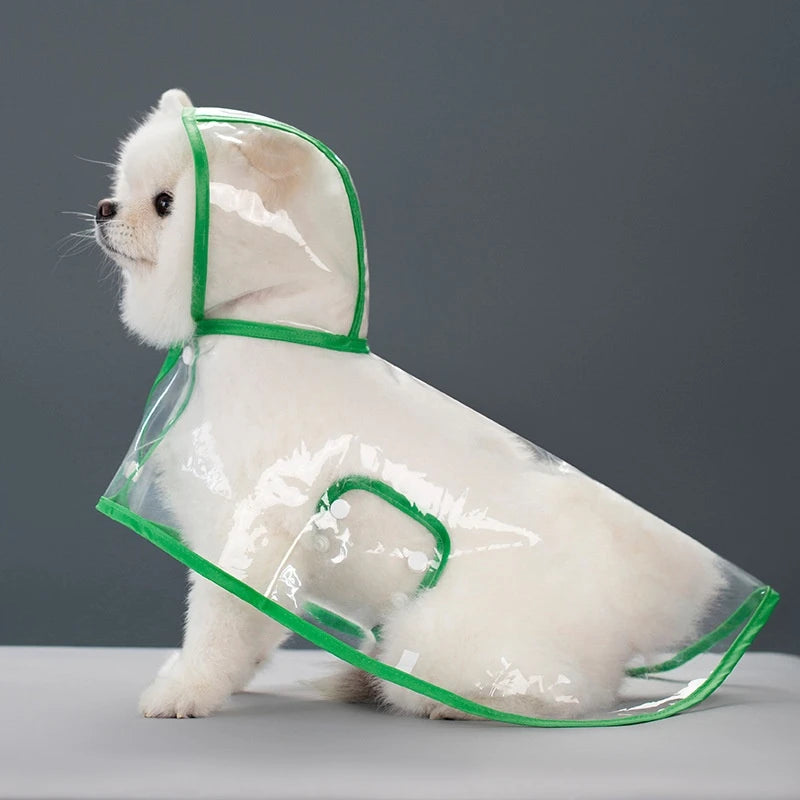 Small white dog in transparent green raincoat.