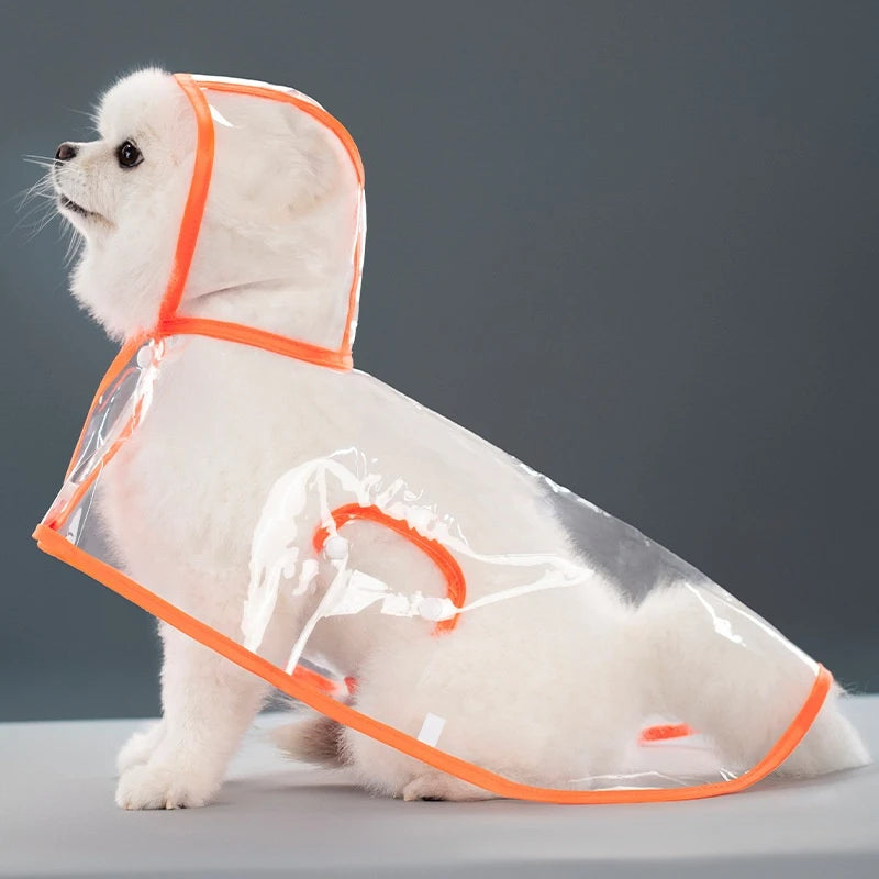 Small white dog in transparent orange raincoat.