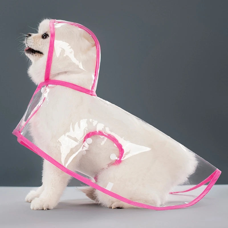 Small white dog in transparent pink raincoat.