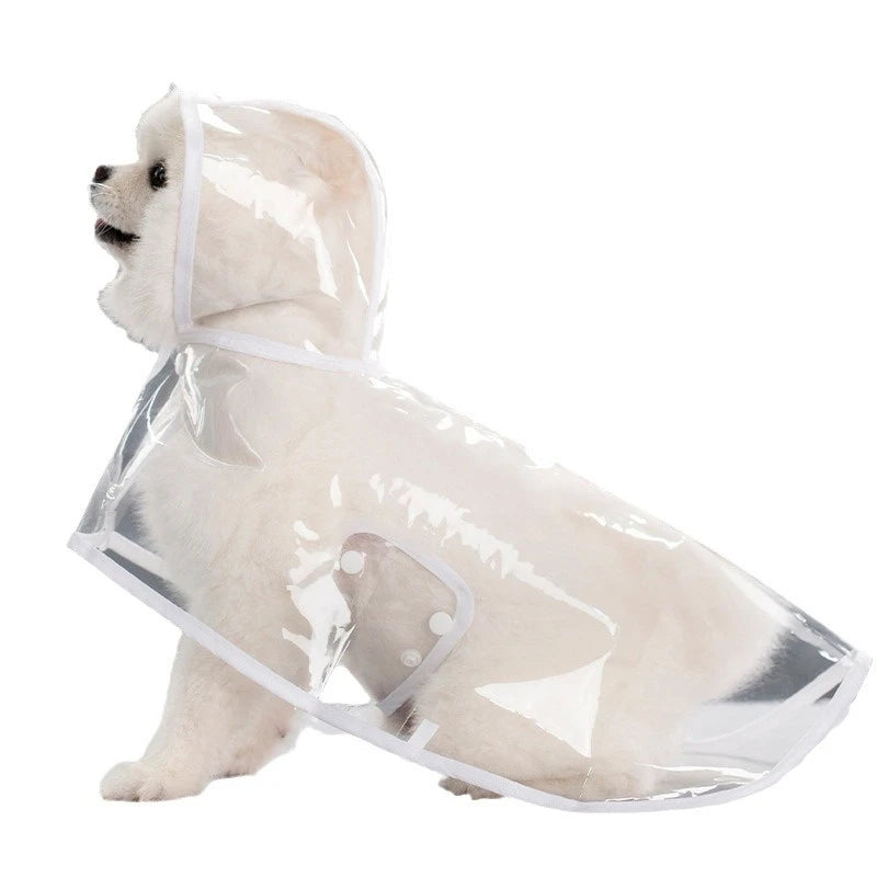 Small white dog in transparent white raincoat.