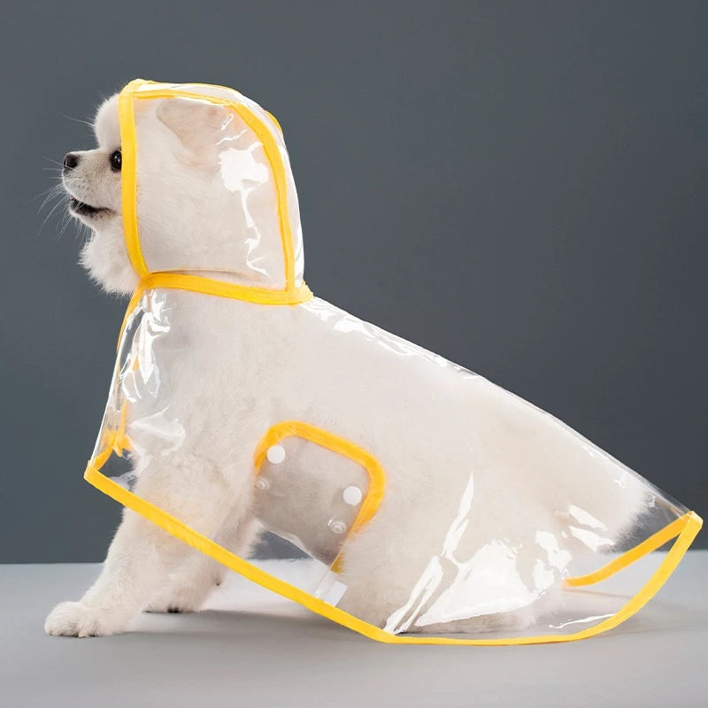 Small white dog in transparent yellow raincoat.