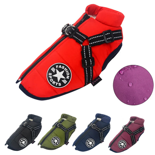 Red waterproof dog jacket with harness that illustrates its waterproof capabilities. At the bottom shows various colors of the waterproof dog jacket in black, green, blue, and purple.