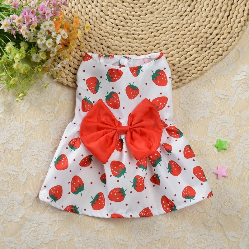 White spring dog dress with red strawberries and red bow. Background includes spring flowers.