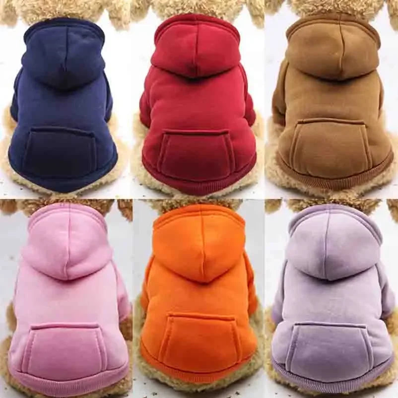 Various brown dogs in blue, red, brown, pink, orange, and purple cotton dog hoodies with pocket.