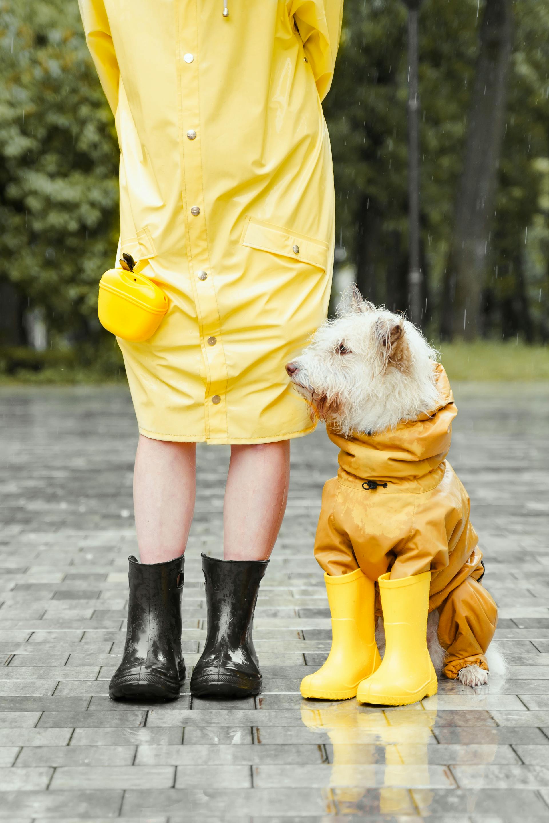 A woman and her dog sitting in the rain while wearing yellow raincoats and boots outside.